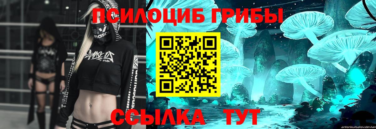 Галлюциногенные грибы GOLDEN TEACHER Ангарск