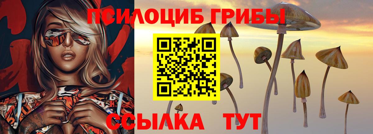 Ангарск  Галлюциногенные грибы мицелий  Вход с VPN 